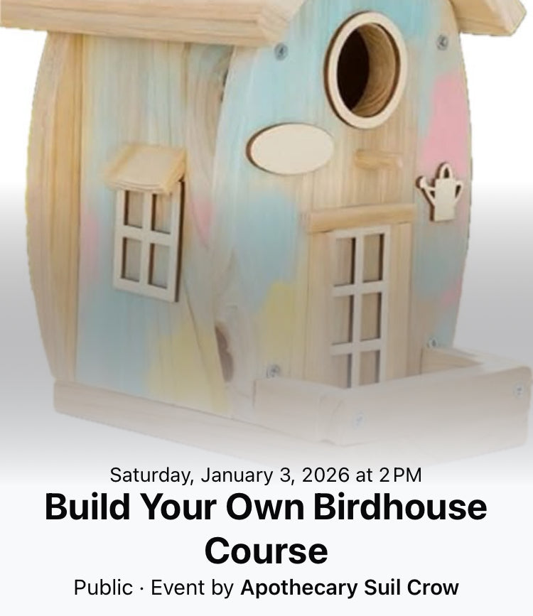 Create Your Own Birdhouses Course