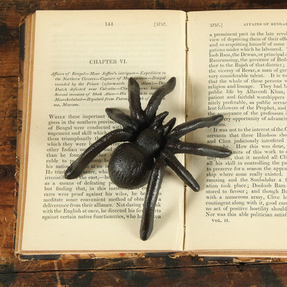 Spider Cast Iron Antique Black