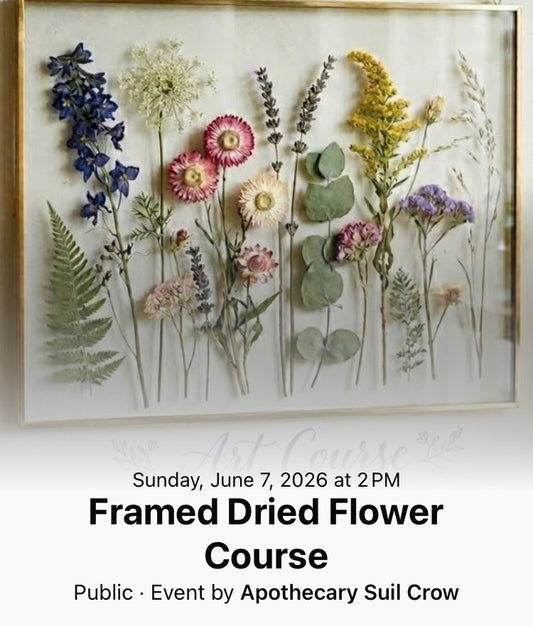 Framed Dried Flower Course