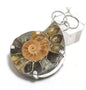 Natural Ammonite Fossil Sterling Silver Pendant