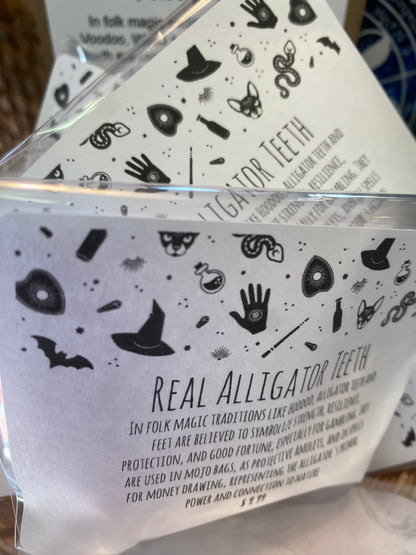 Real Alligator Teeth