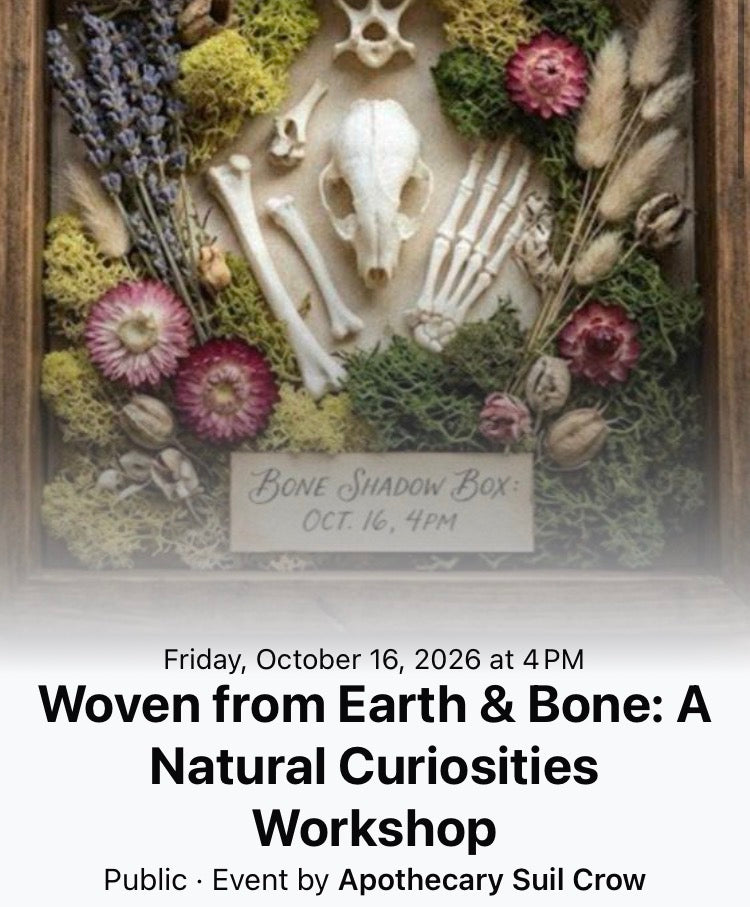 Woven from Earth & Bone: A Natural Curiosities Workshop