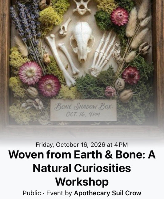 Woven from Earth & Bone: A Natural Curiosities Workshop
