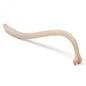 Raccoon Baculum