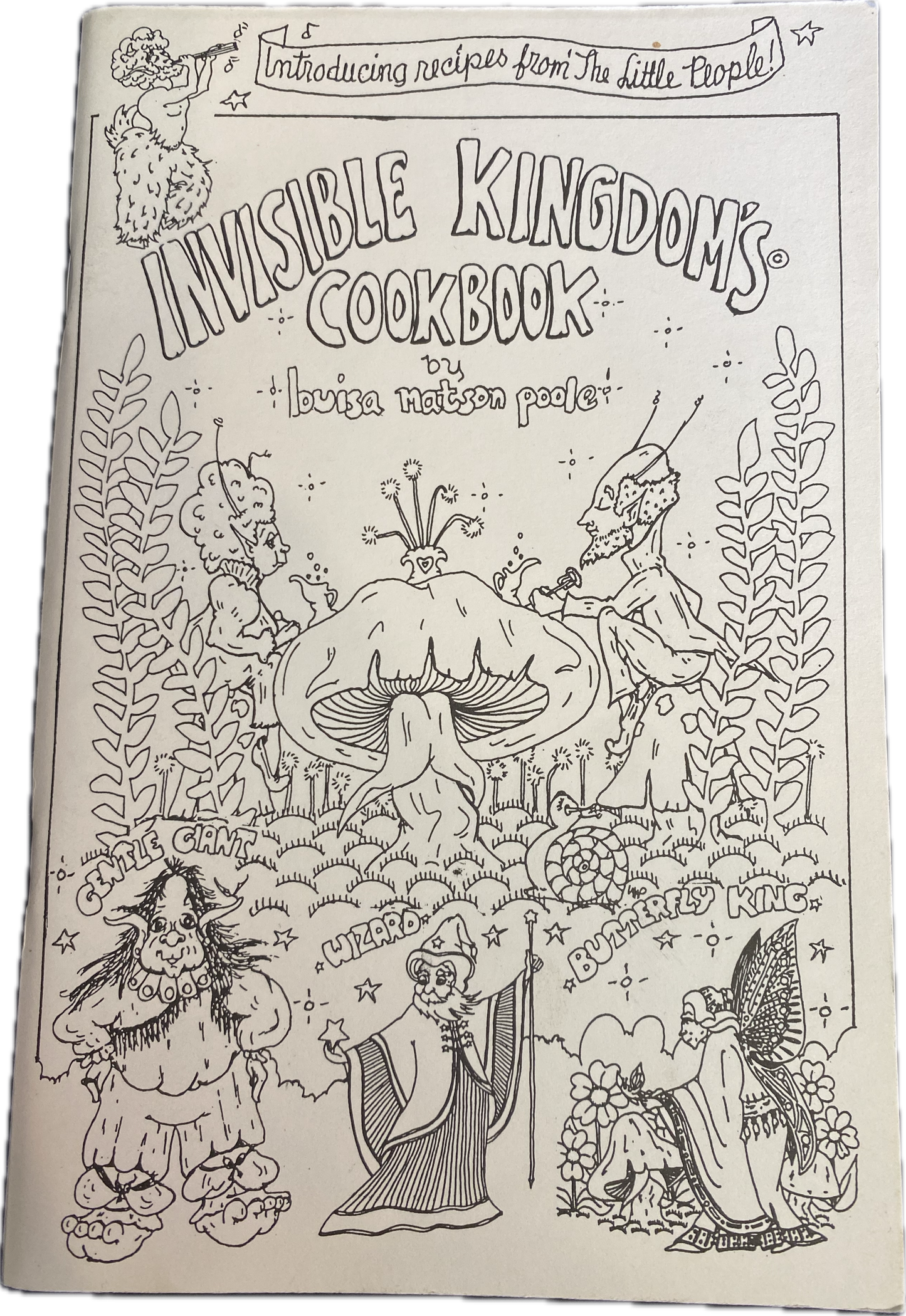 Invisible Kingdoms Cookbook by Louisa Poole