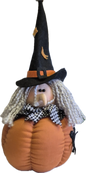 Pumpkin Patch Witch