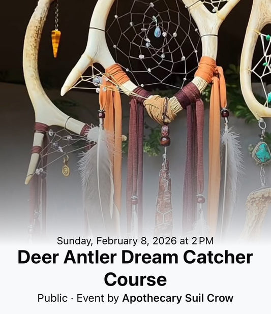 Deer Antler Dream Catcher Course