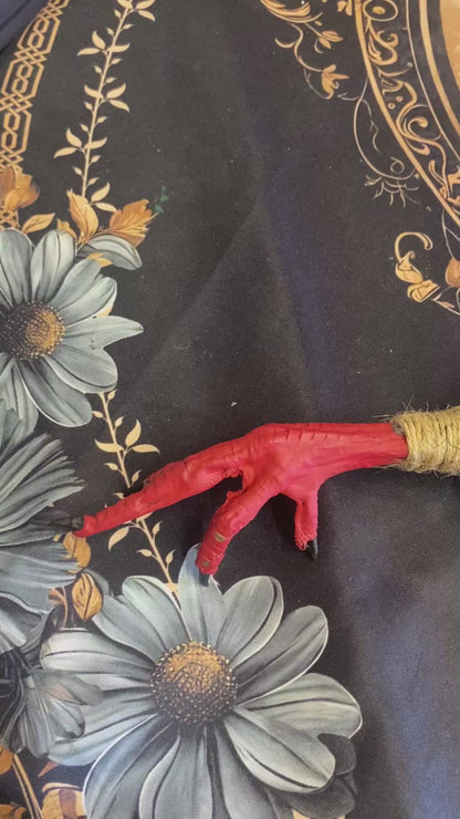 Real Authentic Hoodoo Voodoo Chicken Foot